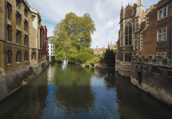 Weekend Wonders: Mallards and the River Cam