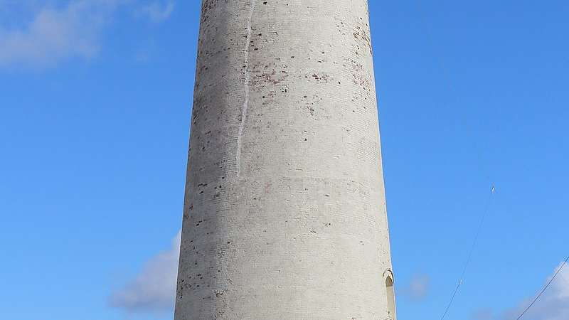 Walking the North Wirral Coast: Dippers, Sunshine, and a Day Without Tech