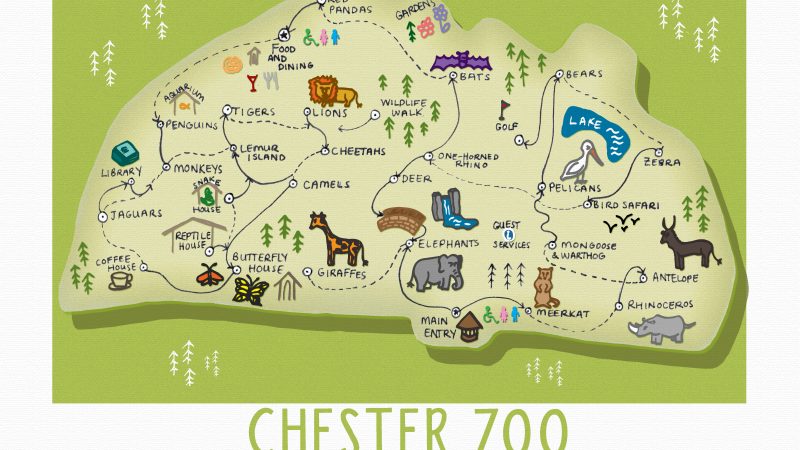 Exotic Ducks at Chester Zoo: A Closer Look at Some Quirky Quackers