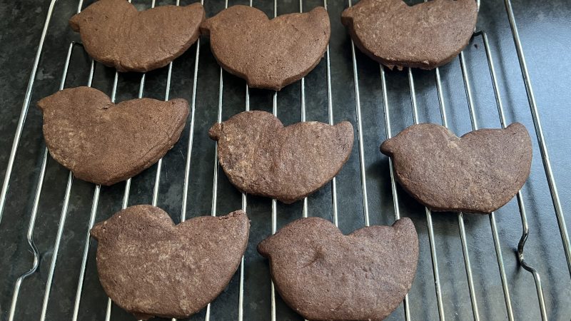 A Quacktastic Baking Adventure!