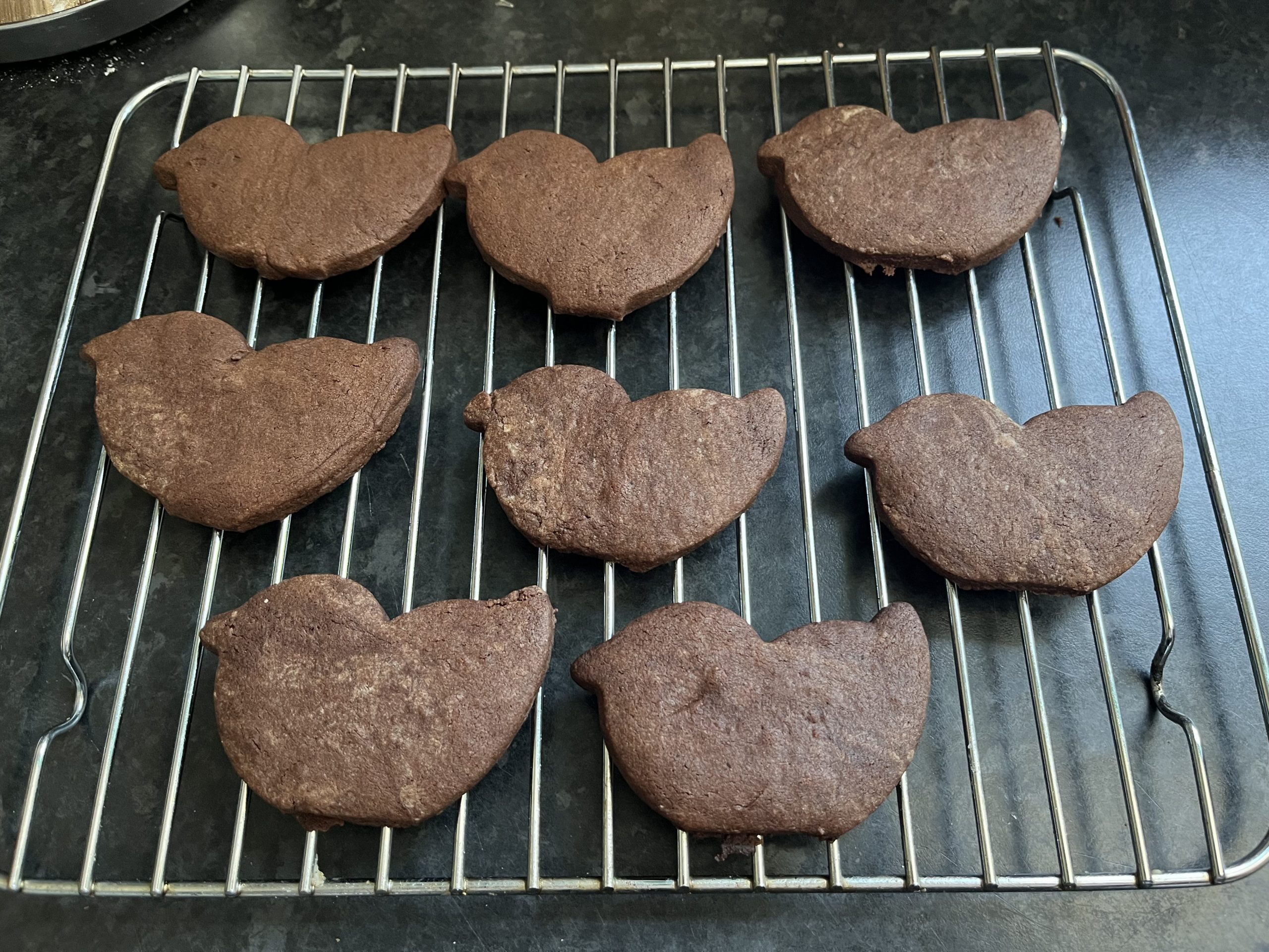 A Quacktastic Baking Adventure!