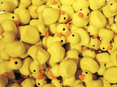 A Quacking Good Tale: The Surprising History of the Rubber Duck